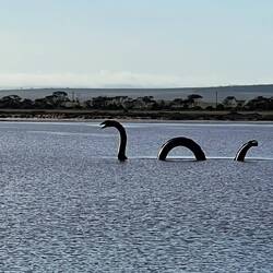 Monster at Lake Bumbunga!