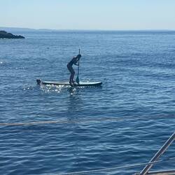 Barbara beherrscht das SUP