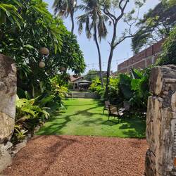 Green amongst all the dirty concrete