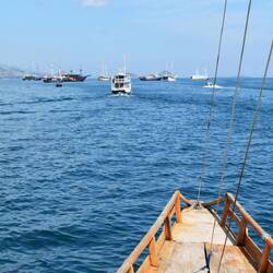 Heading out to sea w/all the other boats
