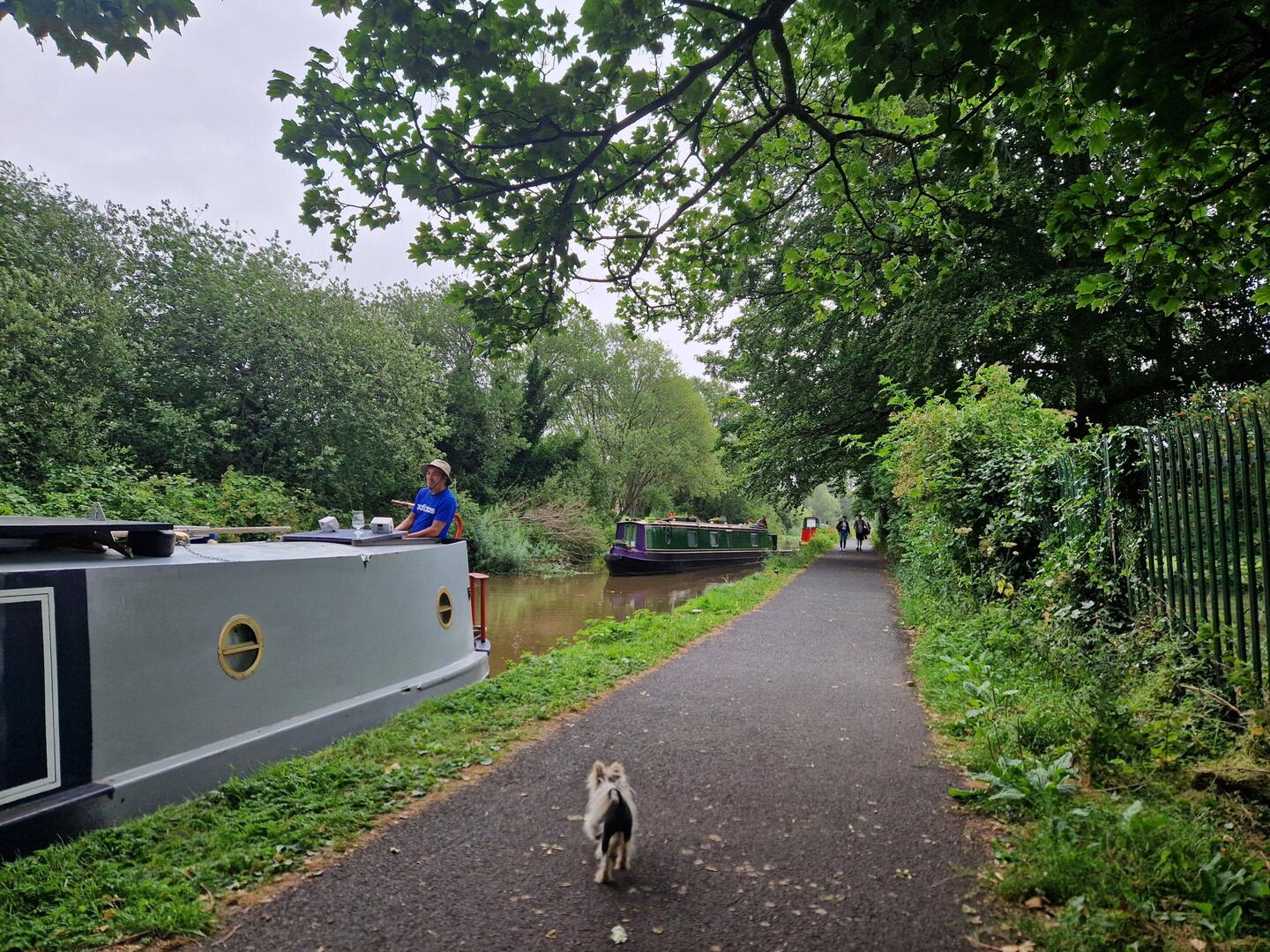 Moorings with the cricket fields on the other side of the fence