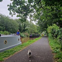 Moorings with the cricket fields on the other side of the fence