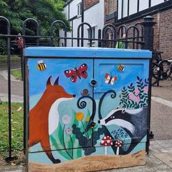 A painted electricity box adding colour to the street