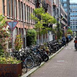 No shortage of bikes ( over 800K!!)