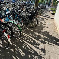 Bikes, bikes, and more bikes