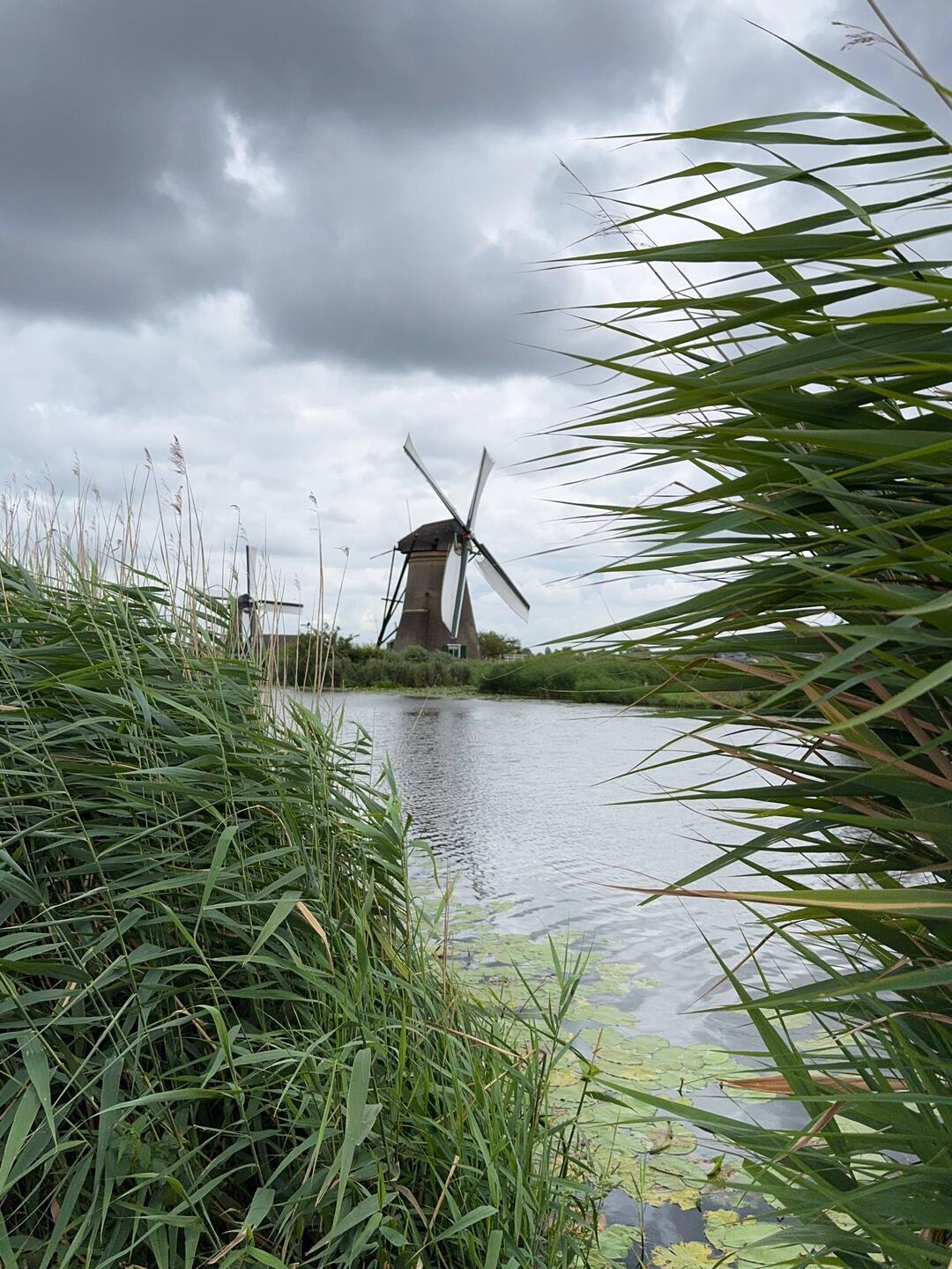Visited Kinderdijk where 19 restored and working windmills provide the power needed to control locks