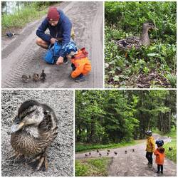 Freudige Begegnungen