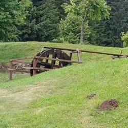 hmmmm, da stimmt doch was nicht 😒😒