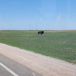 Der hat es sich einfacher gemacht ... plattes Land.