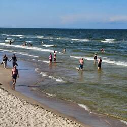 Viele Gäste im Wasser, brrr