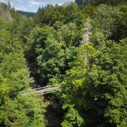 Blick in die Wutachschlucht.