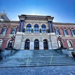 Die Universität