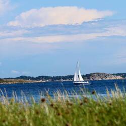 Einsamer Segler am Nachmittag.