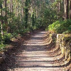 An absolutely gorgeous walk today!