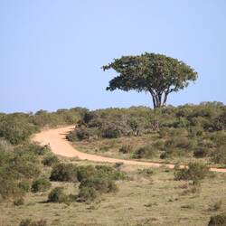 Ich verlasse den Nationalpark am Nachmittag...