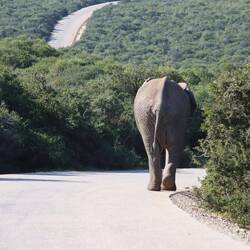 Okay, ab sofort mehr Abstand und Motor nicht mehr ausschalten