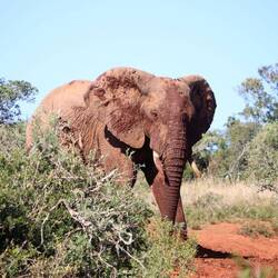 ...dann soll ich dran sein...