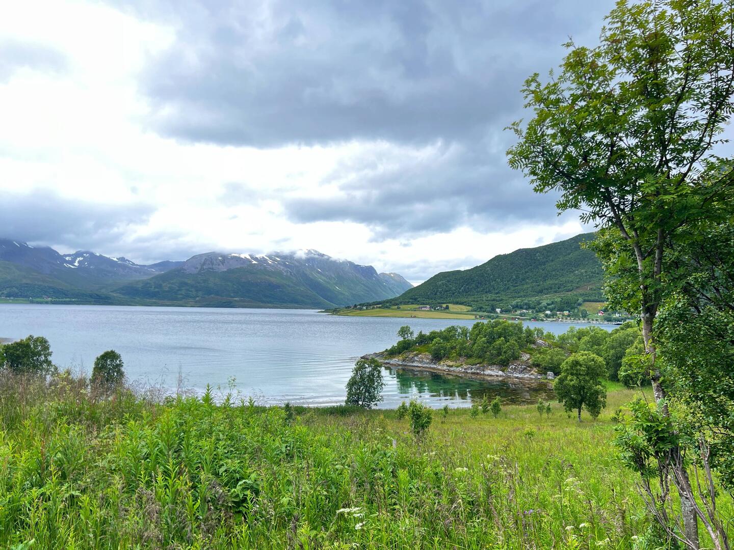 Blick über den Austernfjord