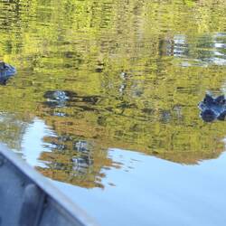 Wir werden beobachtet