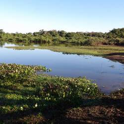 Bay, permanent lagoon with aquatic vegetation