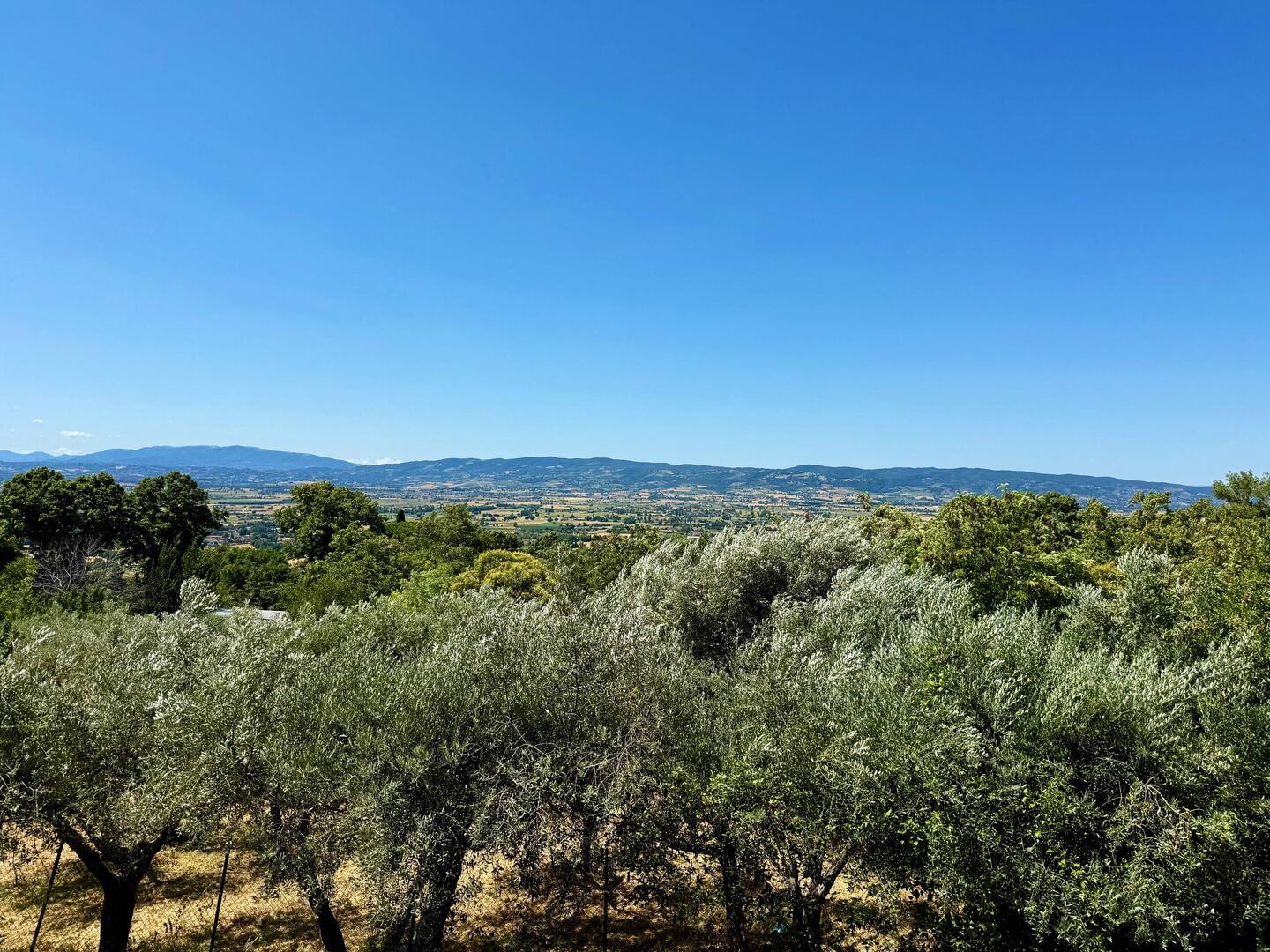Countryside around Assisi