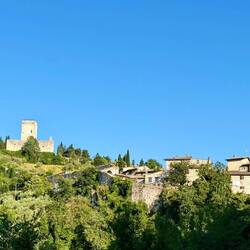 Bosco di San Francesco