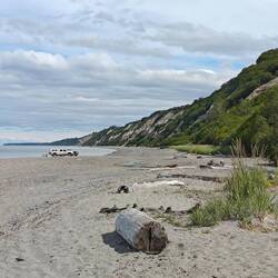 Auch so ein typische amerikanisches Ding. Mit den Auto an den Strand, dort Campingstühle aufbauen,