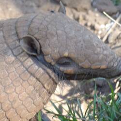 Sie sind überall!!!