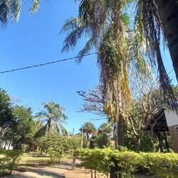 Blick aus der Hängematte