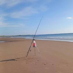 Good cricket beach