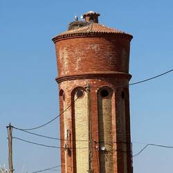 More storks in high places with huge nests