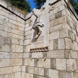 The student that lead the revolution of 1956 against communist rule