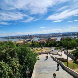 lots of stairs today