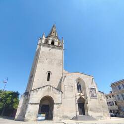 E ha domato il drago Tarascon