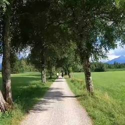 Durch eine schöne Allee