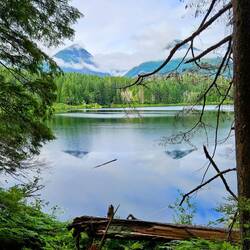 View of Antler Lake and mountains through trees