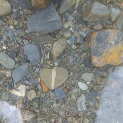 Liebe ist überall. Sogar - oder vor allem - im Wasser 💕