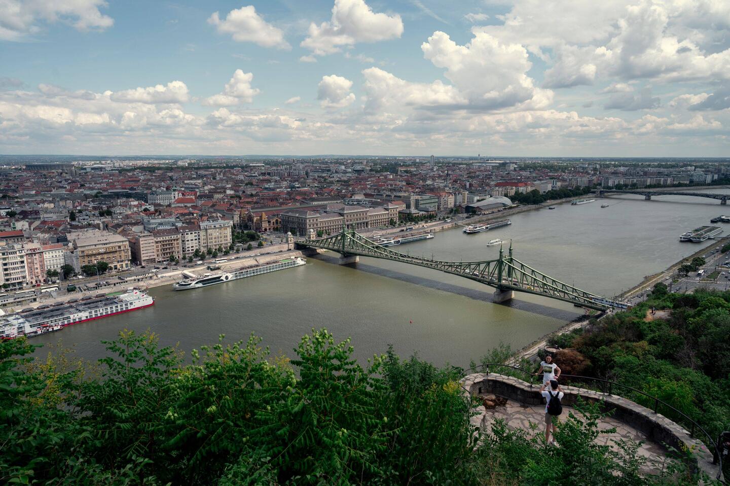Blick vom Gellertberg auf die Freiheitsbrücke