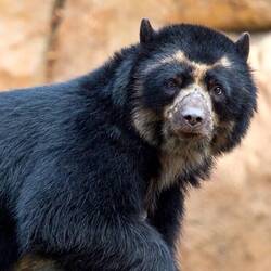 mit der richtigen Kamera 😍