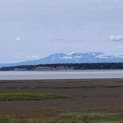 Am Pazifik in Anchorage