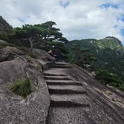 Seuls pour contempler la Majesté des Montagnes Jaunes
