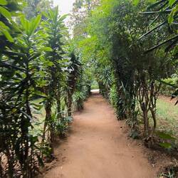 Schöner Garten. leider zu wenig Zeit.