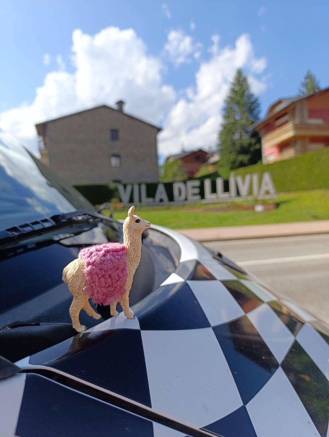 Kurt 🦙 & Mini-Kurt 🦙 auf einen Foto 🥰