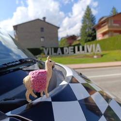 Kurt 🦙 & Mini-Kurt 🦙 auf einen Foto 🥰