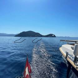 Adieu 🐢Insel