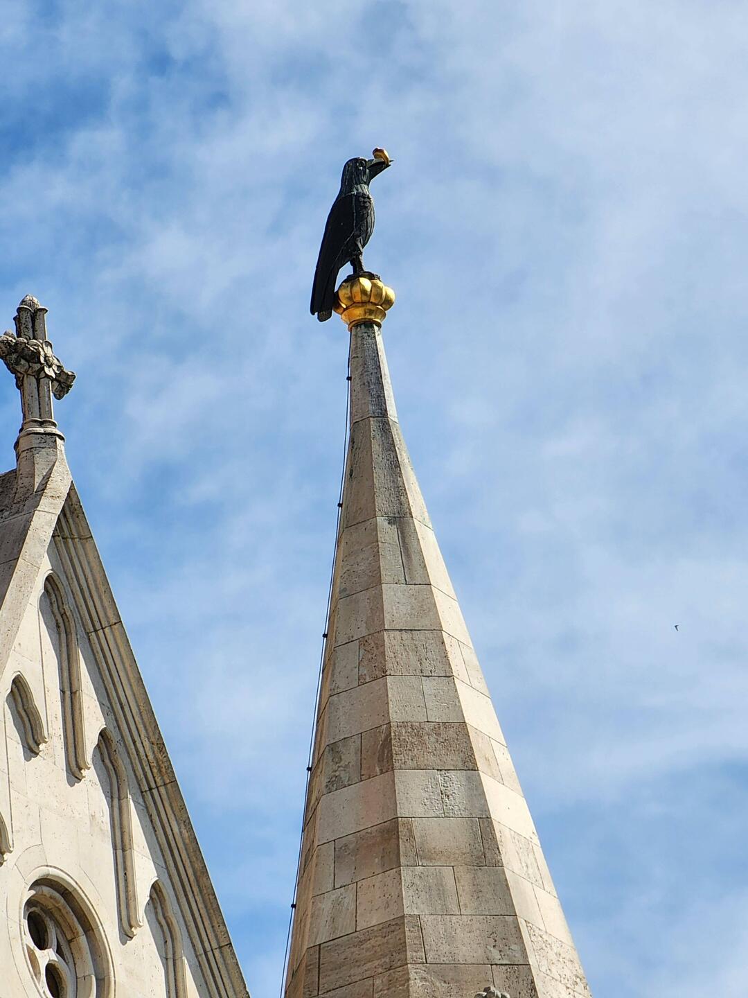 King Mathias (Raven King) : the Raven has a gold ring(Mathias slew it)