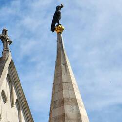 King Mathias (Raven King) : the Raven has a gold ring(Mathias slew it)