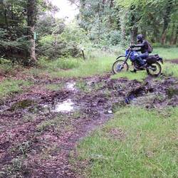 Wir hatten Schlamm