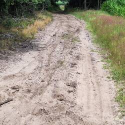 Wir hatten Sand