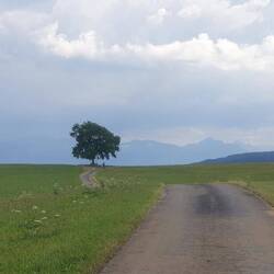 Da hinten sind die Lechtaler Alpen